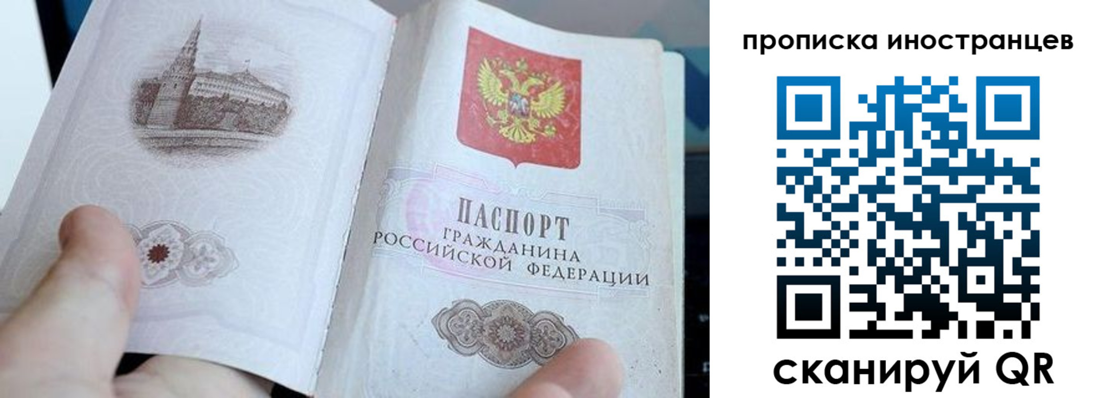 прописка поиск в Карабаново